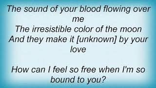 Blondie - Desire Brings Me Back Lyrics