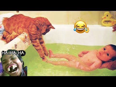 Funniest Animals 2023 😂 Funniest Cats and Dogs | Cat bird Video Pets of Tiktokk |Funny Animal Videos