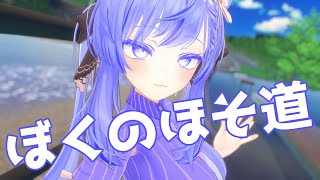 【両声類】ぼくのほそ道 / みきとP 歌ってみた by Shizuki【VRChat】