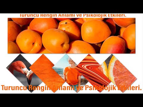 download lagu mp3 mp4 Turuncu Rengin Anlam, download lagu Turuncu Rengin Anlam gratis, unduh video klip Turuncu Rengin Anlam