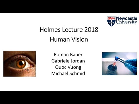 Human Vision