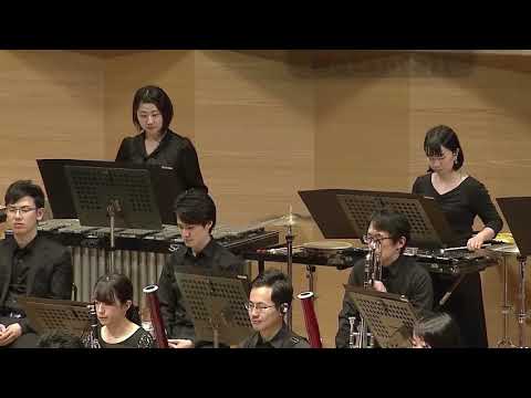 Waterfall || Undertale Orchestral