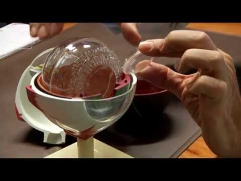 CampusTV Mainz 200 LIVE - Kurzsichtigkeit