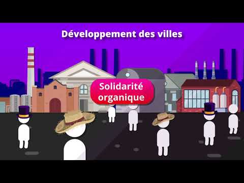 How are social bonds built and developed? (SES 1st)