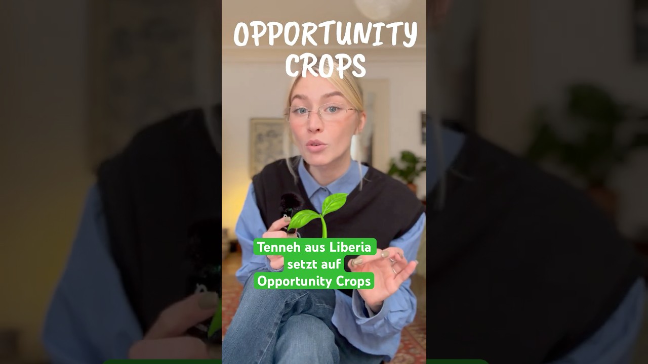 Von KOHLE zu CASH 🌱 Tennehs Weg zu Unabhängigkeit in Liberia 📍