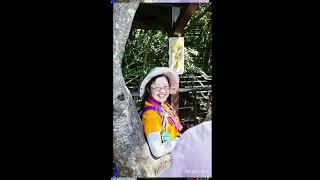 20250829聖人橋-雙溪山-梅花山西峰-梅花山-梅花山南峰-樹え亭-長壽坡-大崙尾山公車站