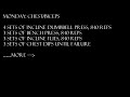 Zyzz Workout Routine