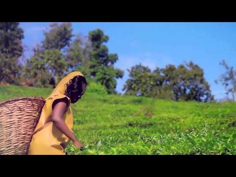 Yanungamya by Mauwa Ryione MP4