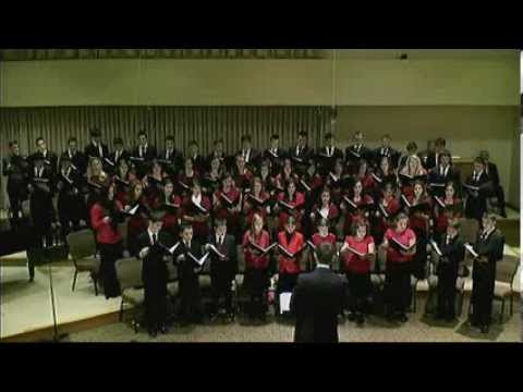 Marius Cruceru - Problema calauzirii