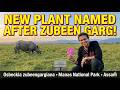 New Plant Species Named After Zubeen Garg In Manas Assam S Proud Moment Current Affairs 2026