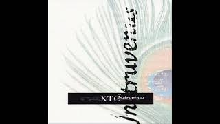 XTC - Instruvenus (2002) Full instrumental album
