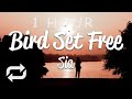 [1 HOUR 🕐 ] Sia - Bird Set Free (Lyrics)