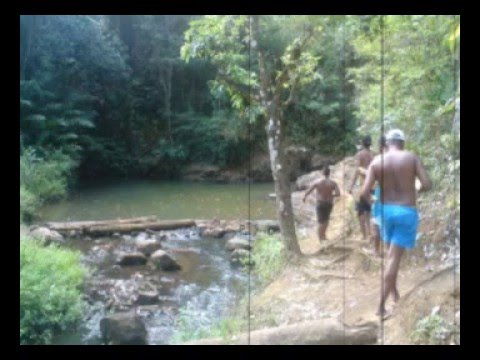 1º Faniceia Camping.mp4