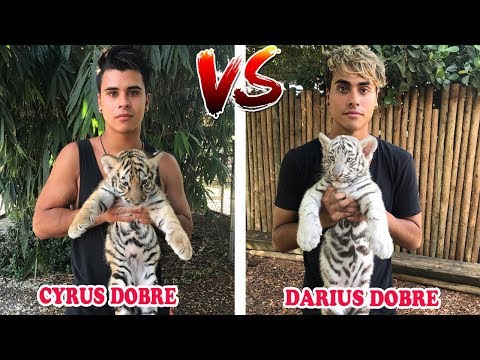 Cyrus Dobre Vs Darius Dobre ( YOUTUBE STARS BATTLE ) Musically Compilation