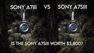 Video thumbnail for Sony A7siii Vs Sony A7iii... Is the A7siii worth $3,800 by Ted Howells