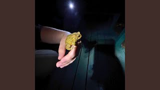 Download lagu ~polliwog/~anuran mp3