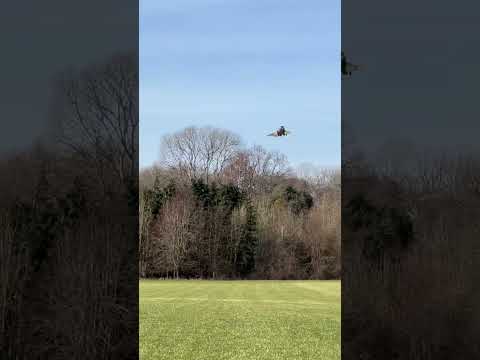 Freewing F-4D Phantom II