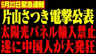 【片山さつき】※中国製太陽光パネルはいりません...財務省改革で衝撃の展開…【高市早苗/自民党】