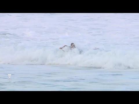 Callinan vs. McNamara vs. O'Brien vs. Irons - Trials R1, H1 - Billabong Pipe Masters 2018