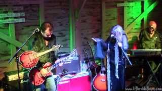 Deborah Bonham   The Old Hyde