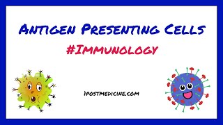Antigen Presenting Cells // Immunology