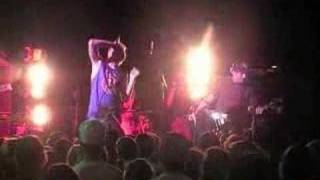 Normal Like You Dose of Commentary CD RELEASE