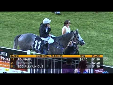 Ascot, 06/02/2016 - Race 8 - POUNAMU - Alan Mathews