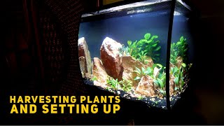 Planting The Flex 2.0
