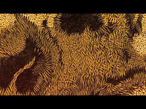 Hiatus Kaiyote - 'Get Sun (feat. Arthur Verocai)' (Official Audio)