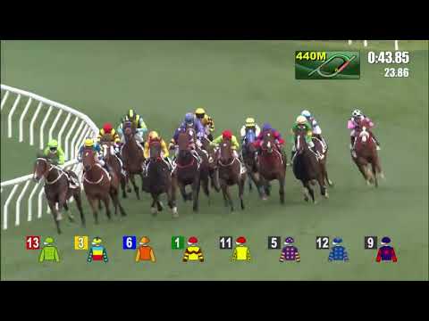 3/2/2022 (394) Flying Ace -  Matthew Poon