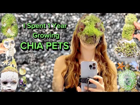 I Spent 1 Year Growing Chia Pets