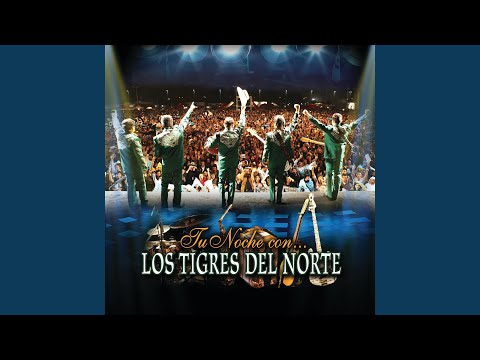 Videoclip de Los Dos Plebes (Live) — Los Tigres del Norte