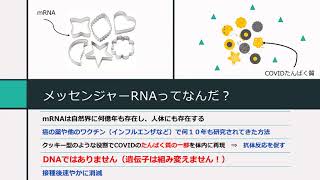 カナダの新型コロナワクチンについて日本語で学ぼう！ 1