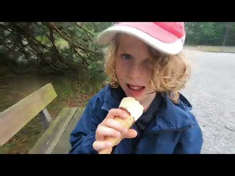 Skåneleden Day 3: Skillinge to Tygeå havsbad