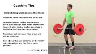 115. Barbell Hang Clean (Below Knee)