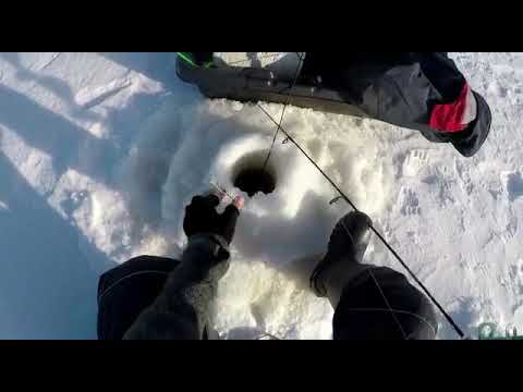 Tiia nappasi oman ennätyskuhan pilkillä - Kuhan pilkintä - JASU pystypilkki