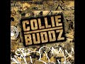 Collie Buddz - Lonely