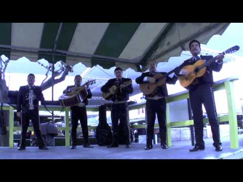 Mariachi Arriba Mexico