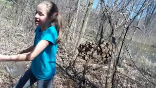 Michigan Massacre Pt.2