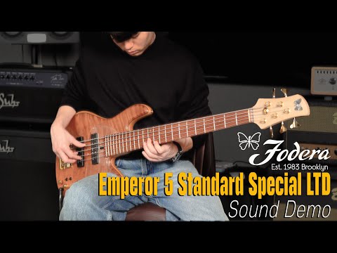 조건희 (Nathan) - Fodera Emperor 5 Standard Special LTD Redwood Flame Top Demo