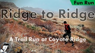 Ridge to Ridge // An Excerpt *Fog, Mud, Trail Running Joy!*