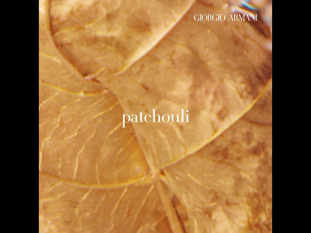 30ML Armani Si Eau de Parfum Spray  5 of 5 