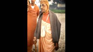 The Process of Disgust (Morning Walk)