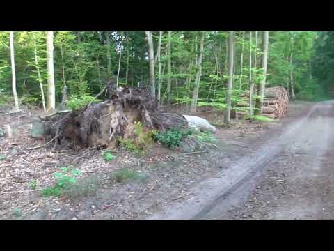 SpaceVenture is finally done