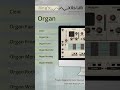 Video 1: Organs 