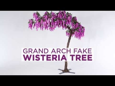 How to Install a 11 Feet Tall Grand Arch Wisteria Tree