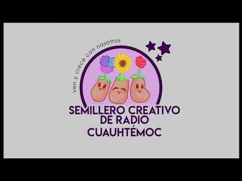 El cuadro de mi colonia