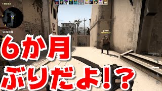 【CS:GO】外人に迷惑をかけまくるCS:GO実況＃24