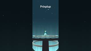 Shiny Piplup #pokemonchannel #pokemongames #pokemon #pokemonfandom #shinypokemon #shiny #shorts #fyp