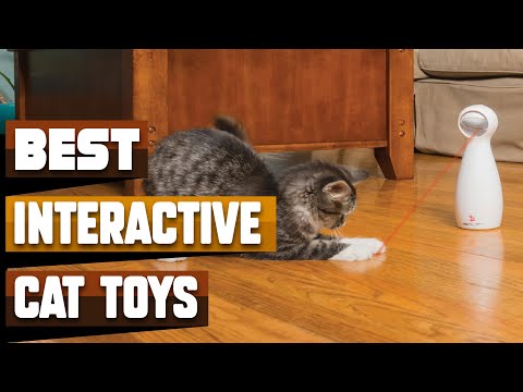 Best Interactive Cat Toy In 2022 - Top 10 Interactive Cat Toys Review